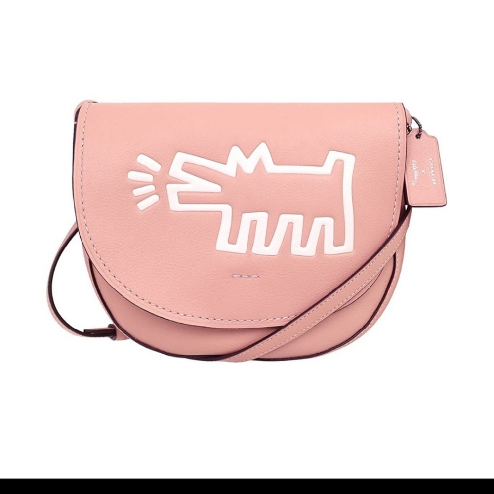 Coach Keith Haring Hudson Crossbody Bag Nude Pink